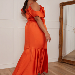 Дълга Официална Рокля за Пищни Дами Дълга Официална Рокля за Пищни Дами